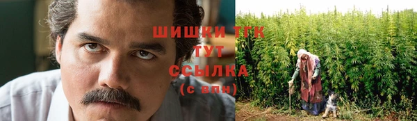 ешки Верхний Тагил