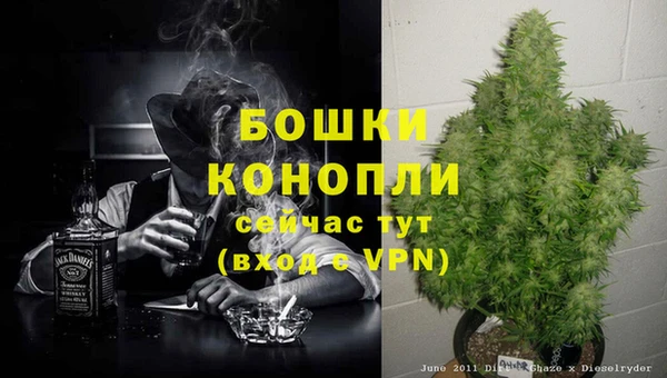 ешки Верхний Тагил