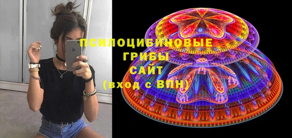 ешки Верхний Тагил