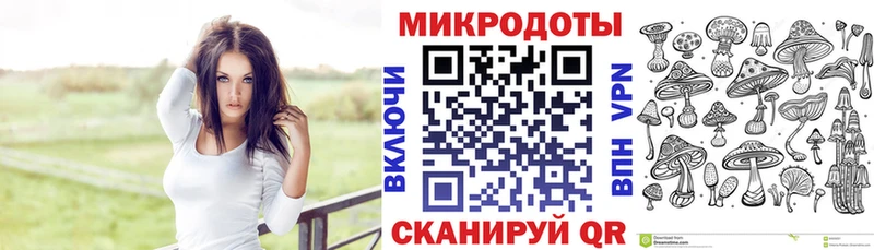Псилоцибиновые грибы Psilocybine cubensis  дарнет шоп  Братск 